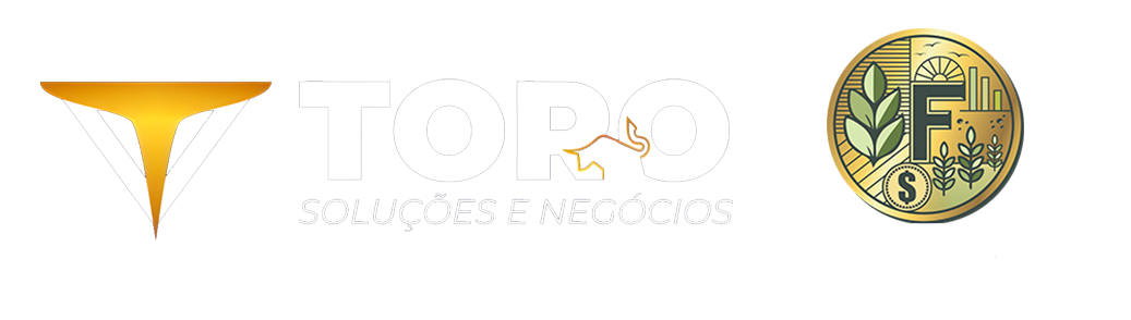 Toro Soluções e Negócios